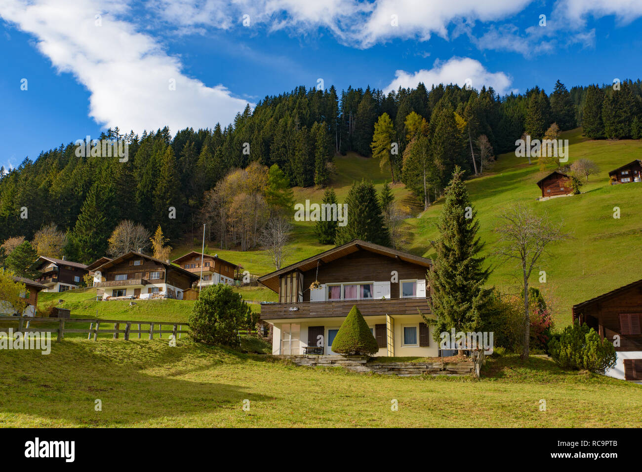 Traditional Swiss style houses on the green hills with forest in the Alps area of Switzerland, Europe Stock Photo