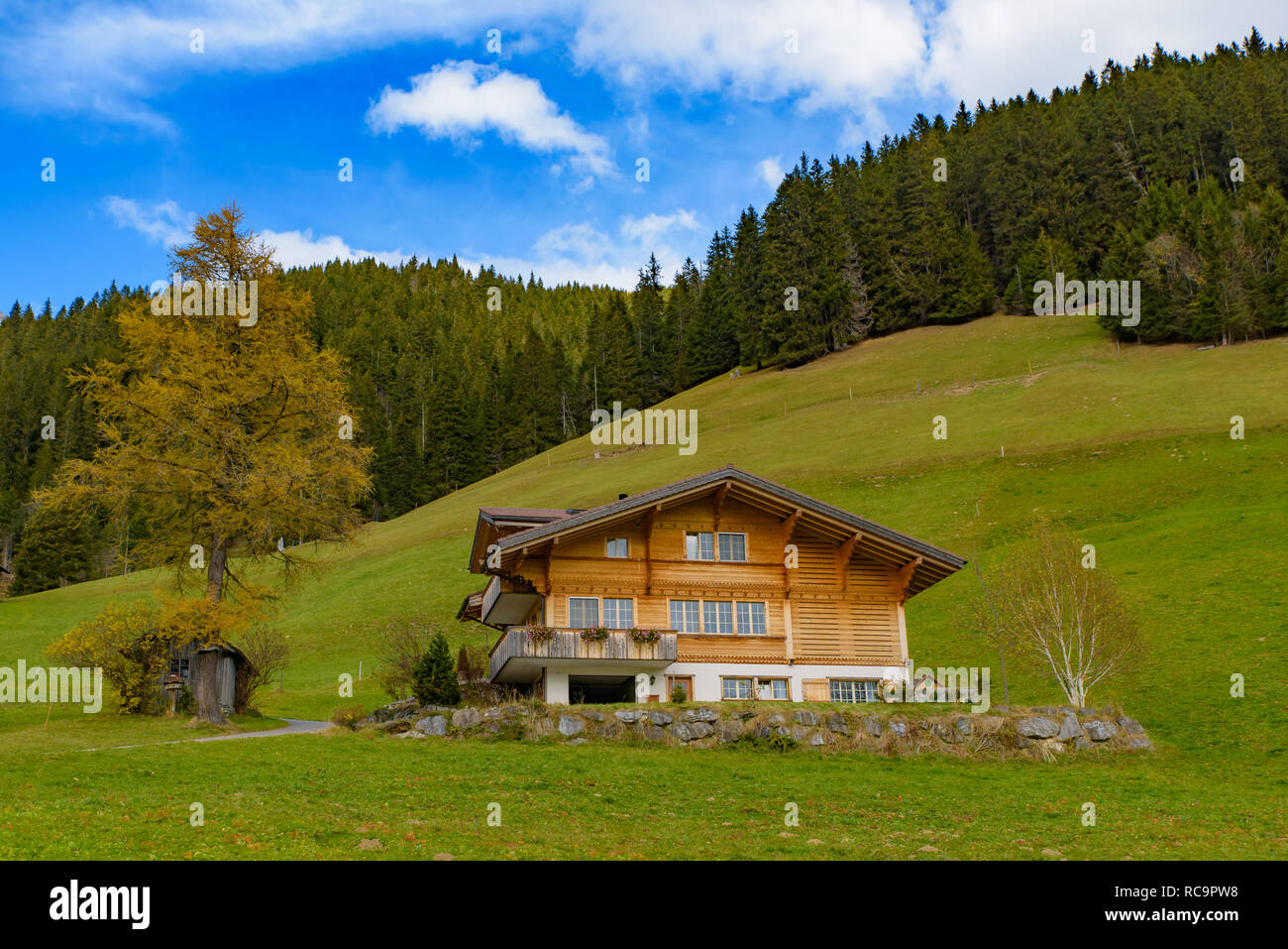 Traditional Swiss style houses on the green hills with forest in the Alps area of Switzerland, Europe Stock Photo