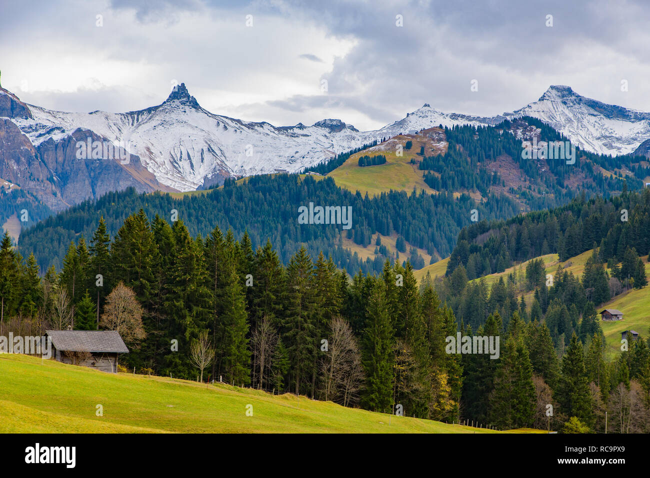 Traditional Swiss style houses on the green hills with forest in the Alps area of Switzerland, Europe Stock Photo