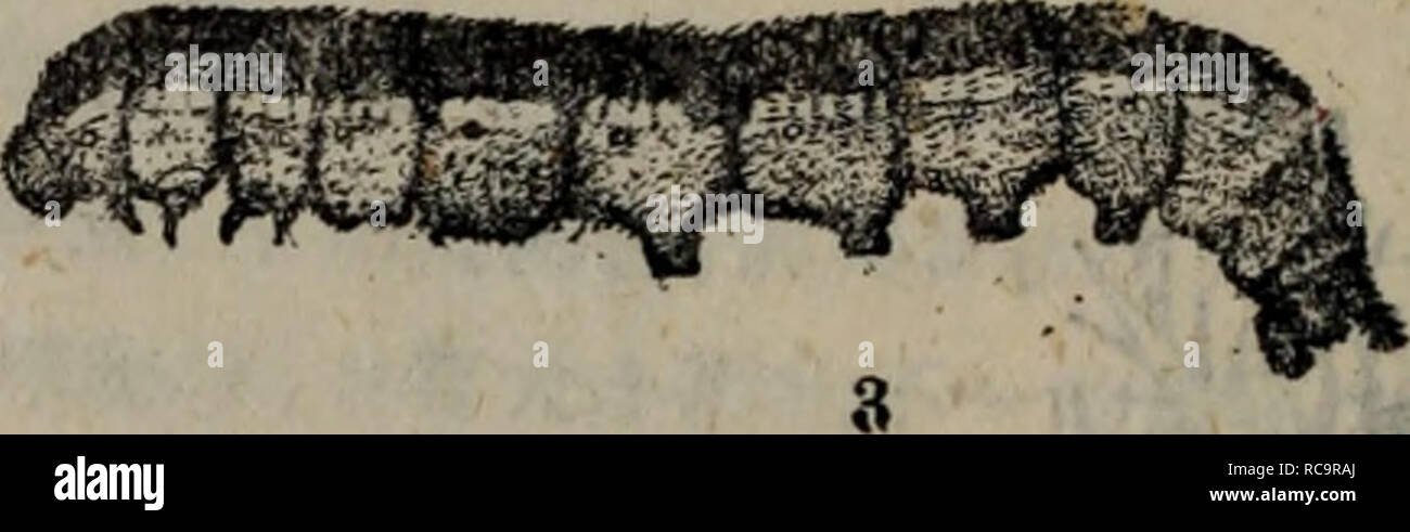 Chong Chu High Resolution Stock Photography And Images Alamy