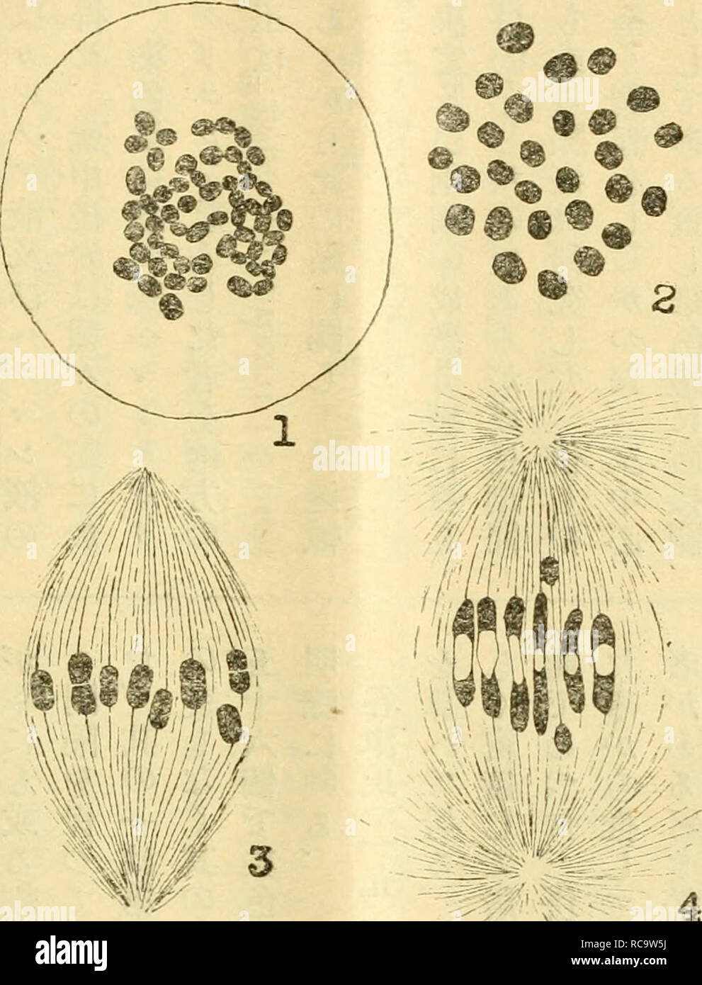 Page 11 Oa 10 High Resolution Stock Photography And Images Alamy