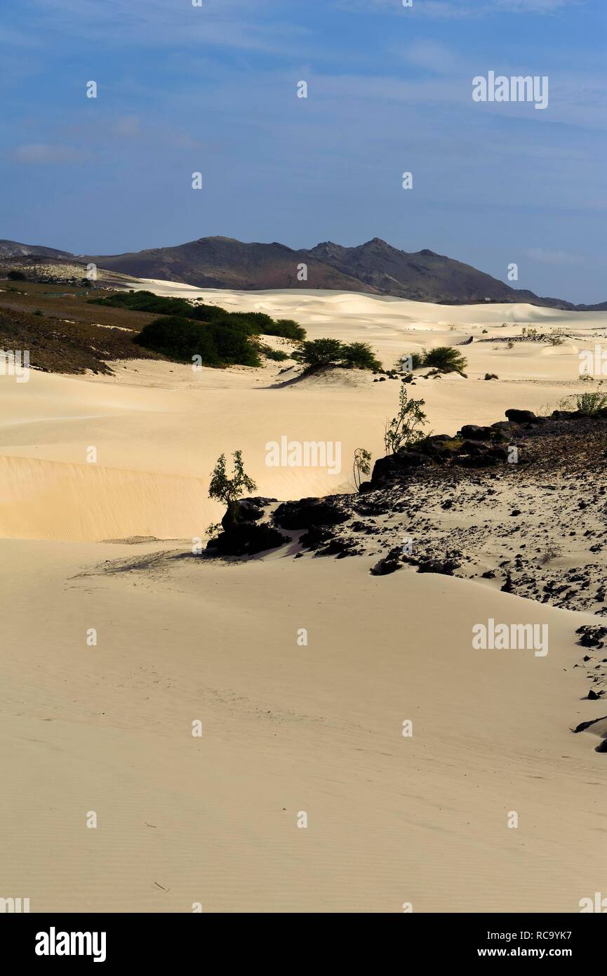 Viana desert hi-res stock photography and images - Alamy