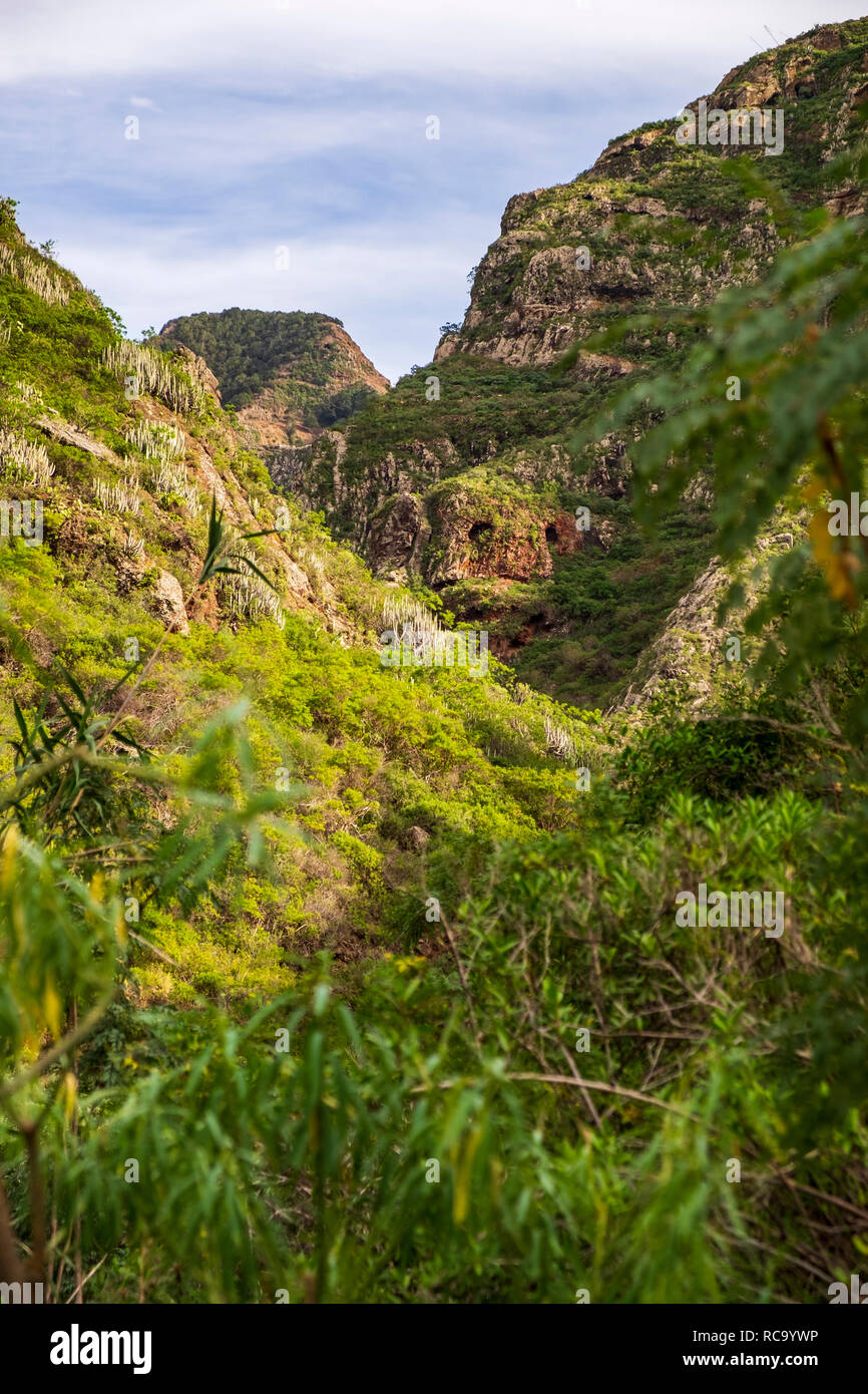 Views into the Barranco del Tomadero ravine, gorge, in Anaga, Tenerife, Canary Islands, Spain Stock Photo