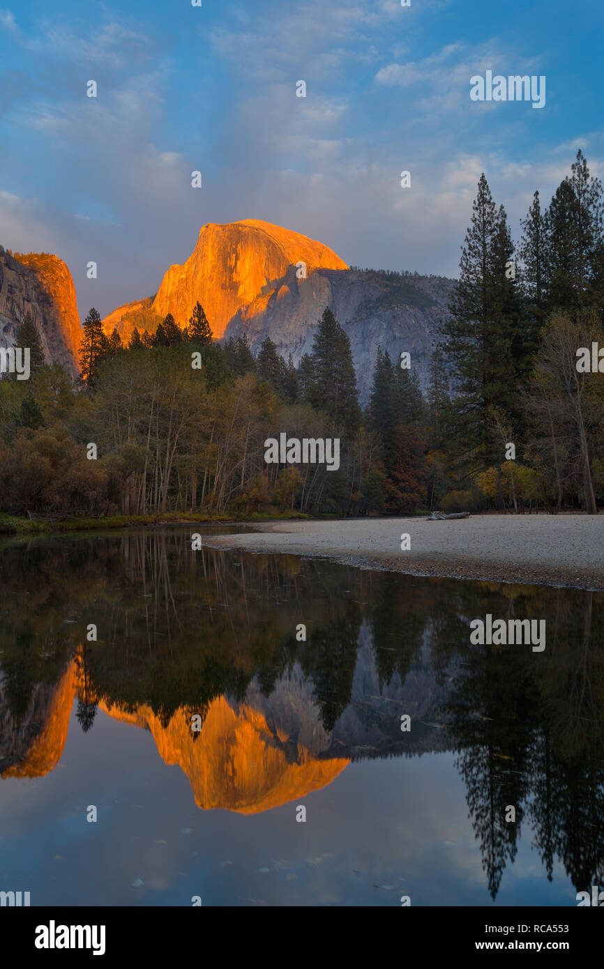Half Dome rises above the Merced River and the forest in Yosemite National Park at sunset. California, USA. Stock Photo