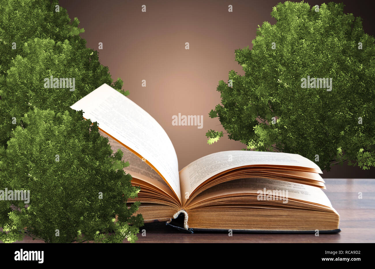 The concept of a book or a tree of knowledge with an oak tree growing nearby Stock Photo
