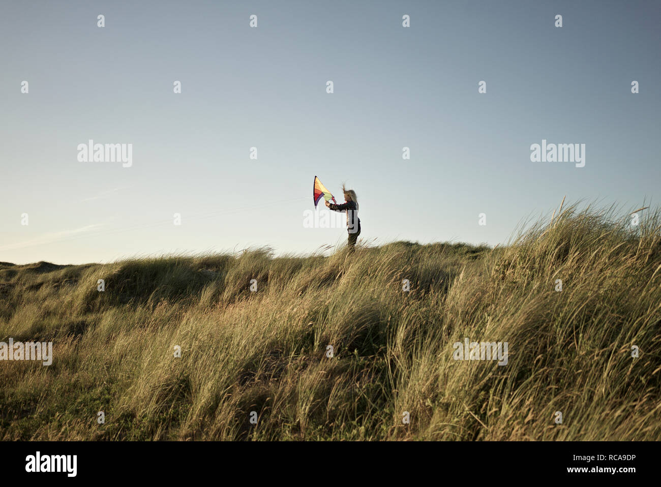 Children are flying kite hi-res stock photography and images
