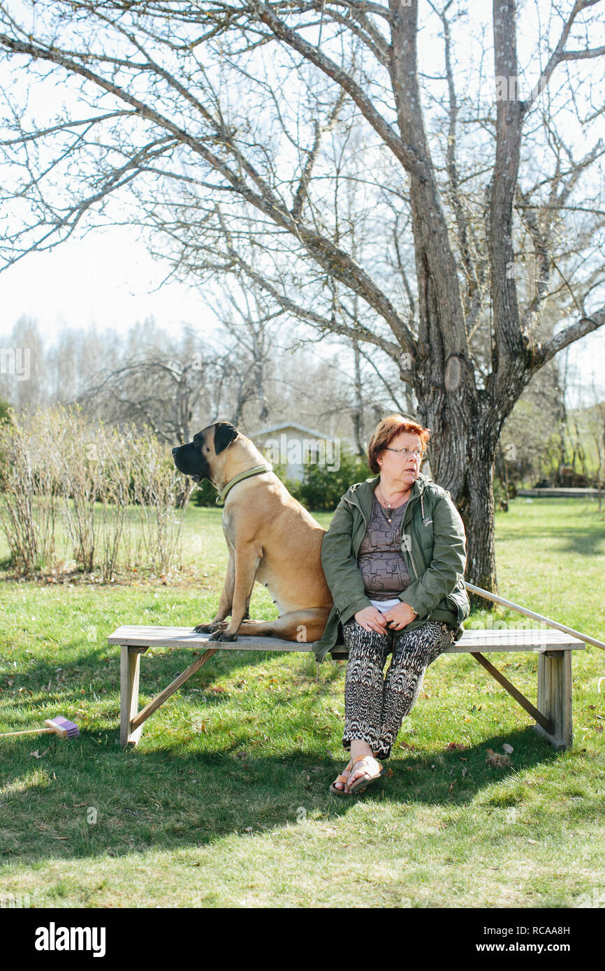 Mature woman and dog sitting on bench Stock Photo - Alamy