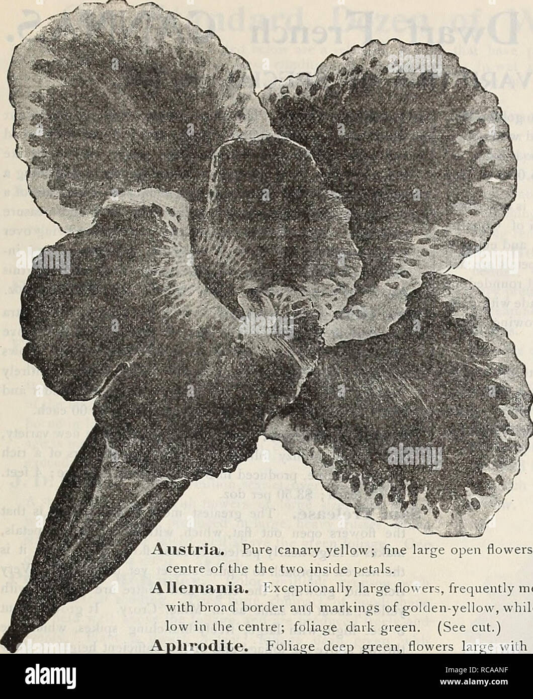 Retention list hires stock photography and images Alamy