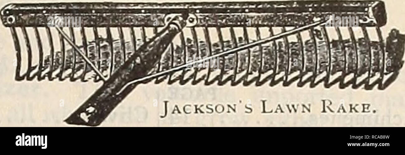 . Dreer's 1900 autumn catalogue of bulbs, plants, seeds, etc. Bulbs (Plants) Catalogs; Flowers Seeds Catalogs; Gardening Equipment and supplies Catalogs; Nurseries (Horticulture) Catalogs; Fruit Seeds Catalogs. Jacks'jn s Lawn Kake. MMAimMl- &quot;mmssmm^ Hustler Lawn Rake. Lawn King Rakr. Hot-bed Sash. SiBVEb Plant Bed Cloth. MISCELLANEOUS TOOLS, Btc.—Con^i7med. Plant Bed Protecting' Cloth. A cheap substitute for glass. Light grade, 4 cts. per yard, per piece of about 70 yards, per yard, S-J cts. Medium grade, 8 cts. per yard, per piece of about 60 yards, per yard, 7 J cts. Heavy grade, lOJ c Stock Photo