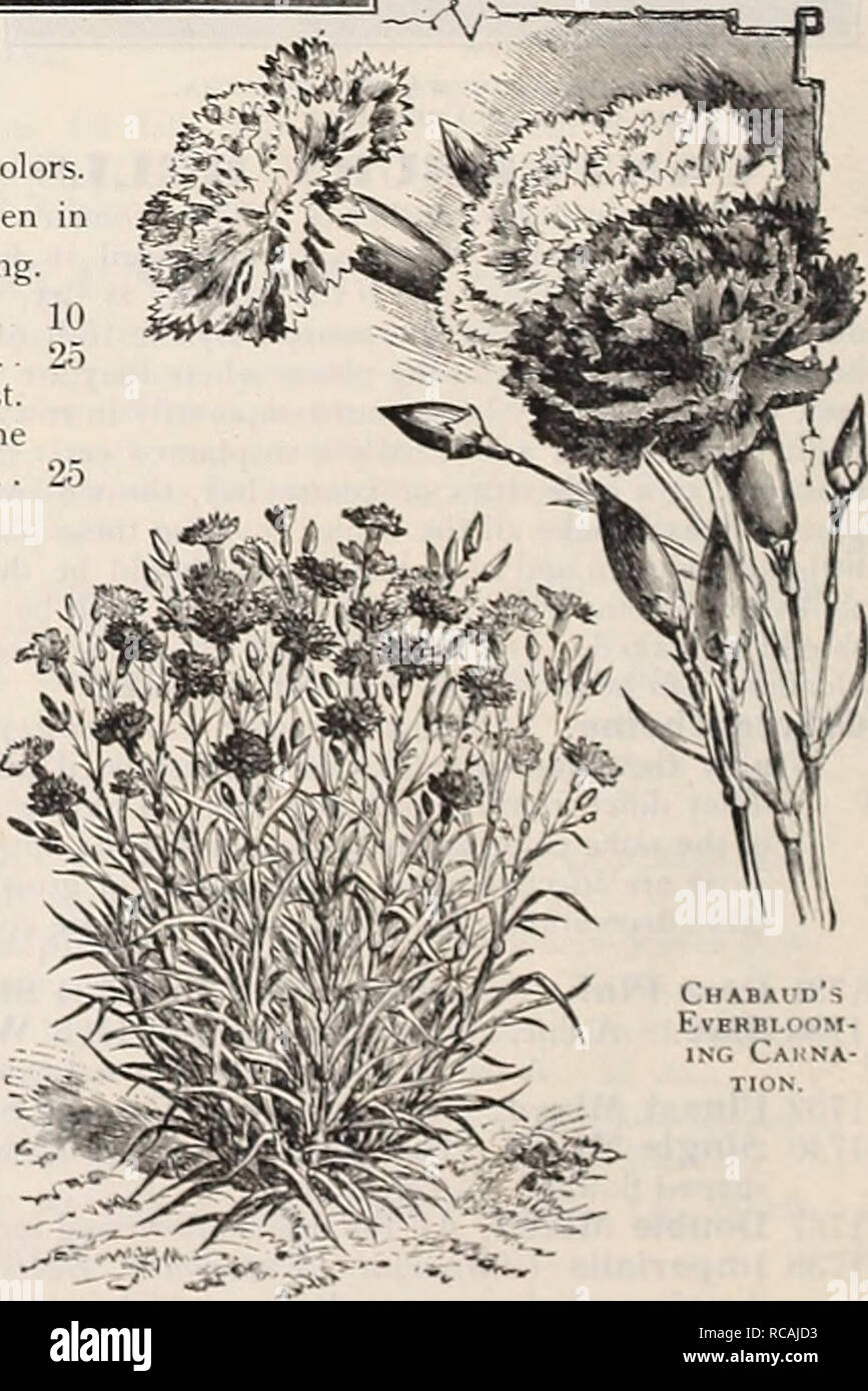 Dreer S 1909 Garden Book Seeds Catalogs Nursery Stock Catalogs
