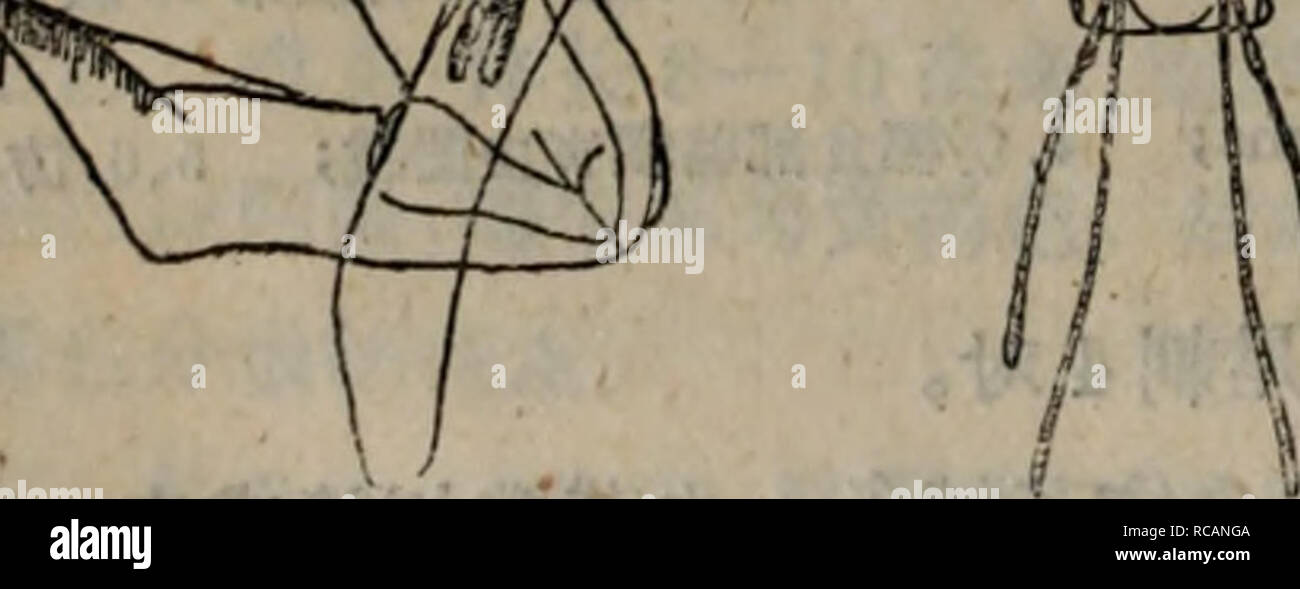 Dong Bei Nong Zuo Wu Hai Chong Tu Shuo Botany 2 3 4 5 M 143 Ac E 1 Aee 2 Eae A Cae A 3 Fitae Aº Aµe A aae 4 A E C 9e Ea E A Aº5 A E C 8e Eae Eaº 6 A E C 4e Ectta C 1 A Ae E E Fac A E Eeªªi 2 8 A Corbet Et Tarns 4a 6 A Hinton