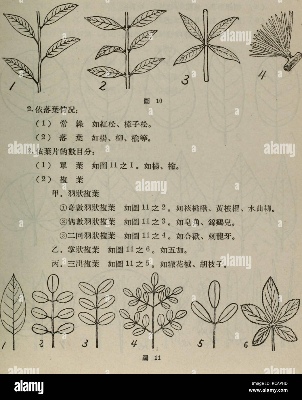 Dong Bei Mu Ben Zhi Wu Tu Zhi Botany M 10 2 A E Eae Aµi 1 A C A C Ae e A Ae A 2 E Ea Ae e e C A 3 A Eccae C Ai 1 A Ea A11a 1aa Ae e A 2 E E C C Ce E A A Ae C Ce Ea A11a 2aa Ae Ae Ae Ae E Ae jcae Ae A A Ae C Ce Ea A11a 3aa Ee Ae E A A Dong Bei Mu Ben Zhi Wu Tu Zhi Botany M 10 2 A E Eae Aµi 1 A C A C Ae e A Ae A 2 E Ea Ae e e C A 3 A Eccae C Ai 1 A Ea A11a 1aa Ae e A 2 E E C C Ce E A A Ae C Ce Ea A11a 2aa Ae Ae Ae Ae E Ae jcae Ae A A Ae C Ce Ea A11a 3aa Ee Ae E A A