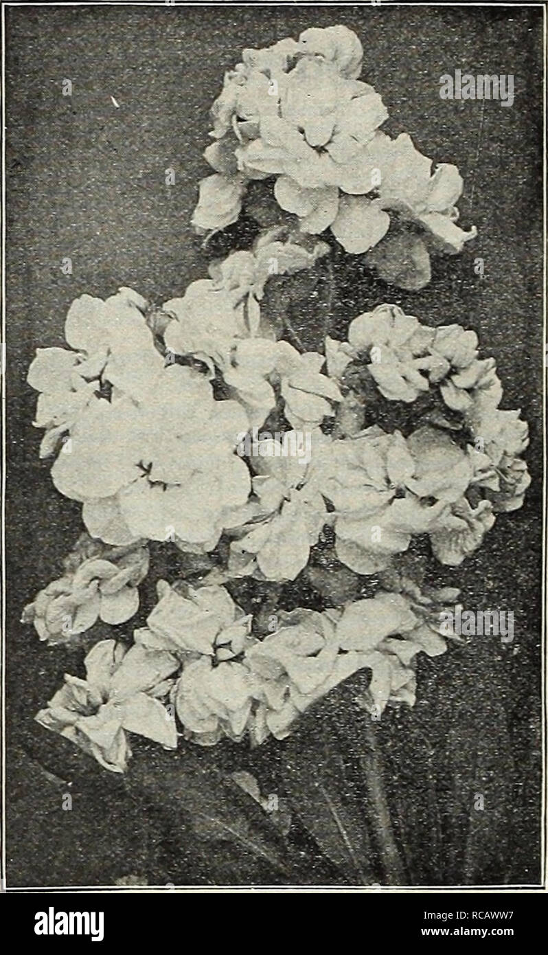 Dreer's garden book 1916. Seeds Catalogs; Nursery stock Catalogs