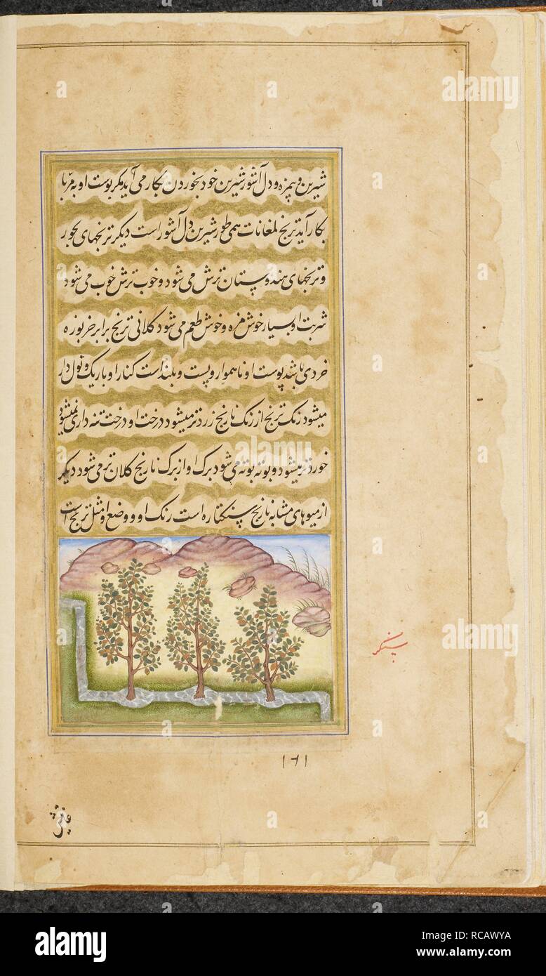 Sweet orange in irrigation channel. Vaki'at-i Baburi, the Memoirs of Babur, translated from the Turki original by Mirza 'Abd al-Rahim, Khan-i khanan. One hundred and forty-three miniatures (mostly with attributions). c.1590. Opaque watercolour. Mughal style; Mughal/Akbar style. Source: Or. 3714 Vol.4 f.404v. Author: Shankar Gujarati. Stock Photo