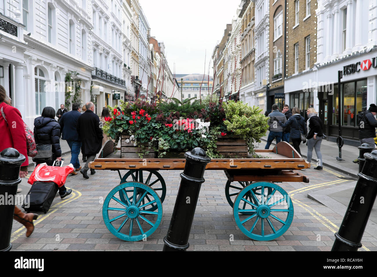 Covent Garden market cart with floral display of red cyclamen plants in bloom, hebes and ivy at Christmas in London WC2 England UK    KATHY DEWITT Stock Photo