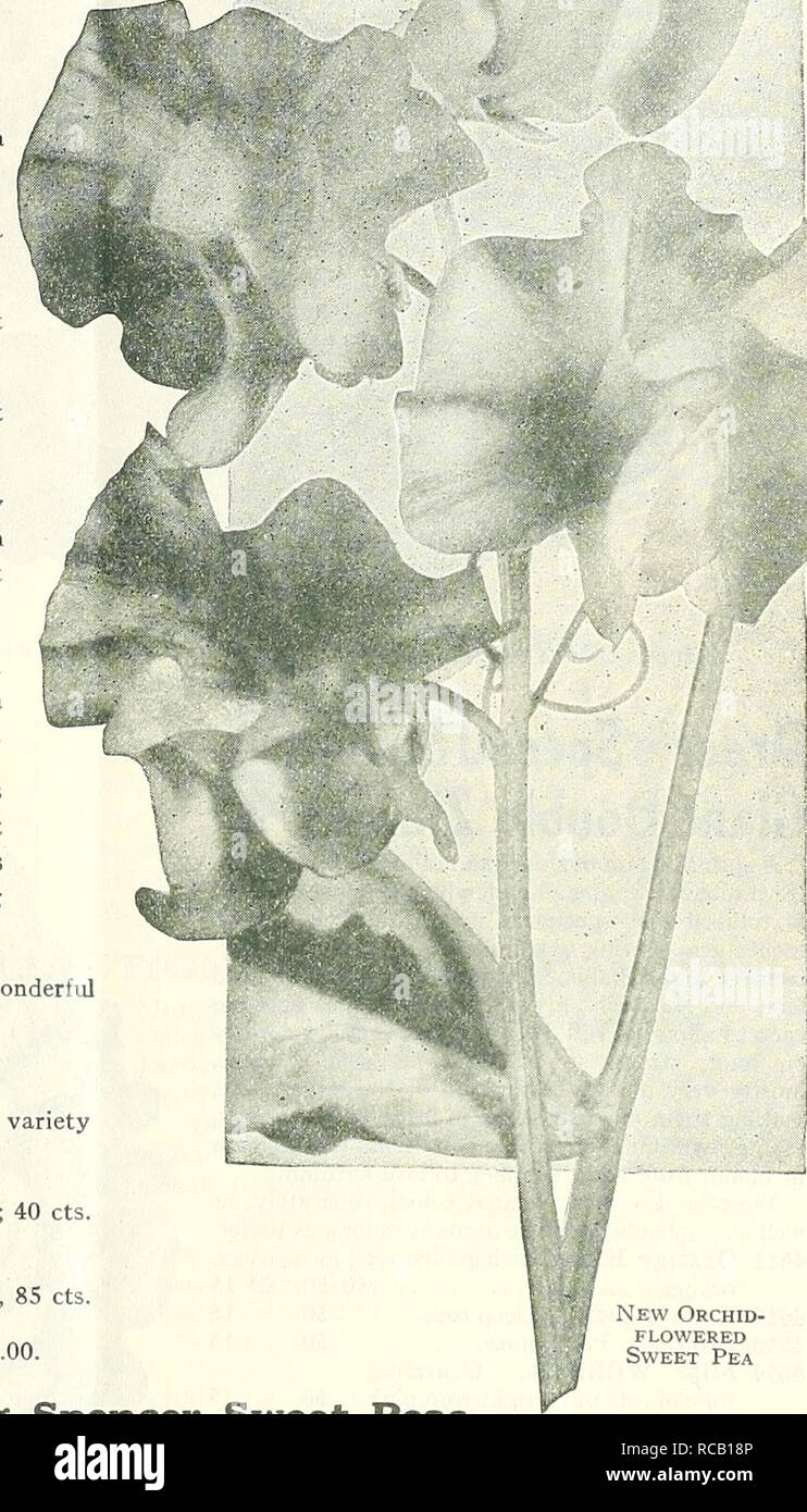 Dreer S Abridged List 1930 Seeds Catalogs Nursery Stock Catalogs Gardening Equipment And Supplies Catalogs Flowers Seeds Catalogs Vegetables Seeds Catalogs Flelflyajbeel Speciauies In Flover Seedj 13 Twelve Superb Newer Orchid Flowered Sweet