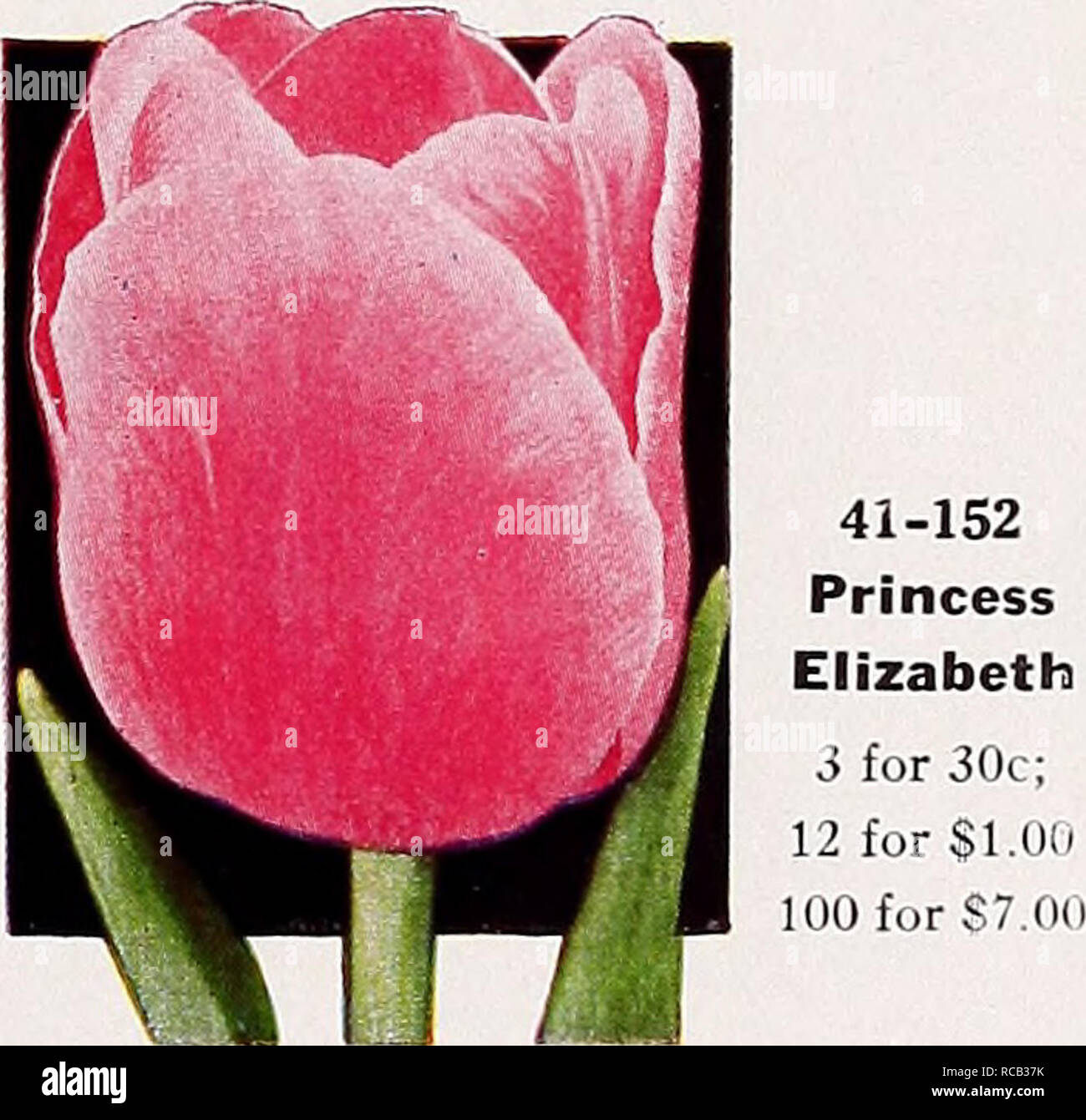 philadelphia planting guide Resources – the spring gardens.
