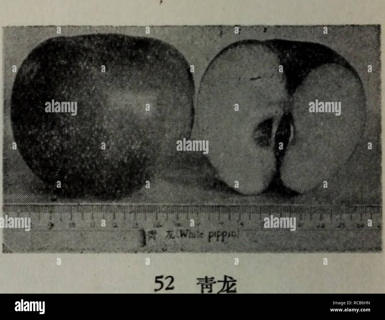 Nong Ping Stock Photos Nong Ping Stock Images Alamy - 