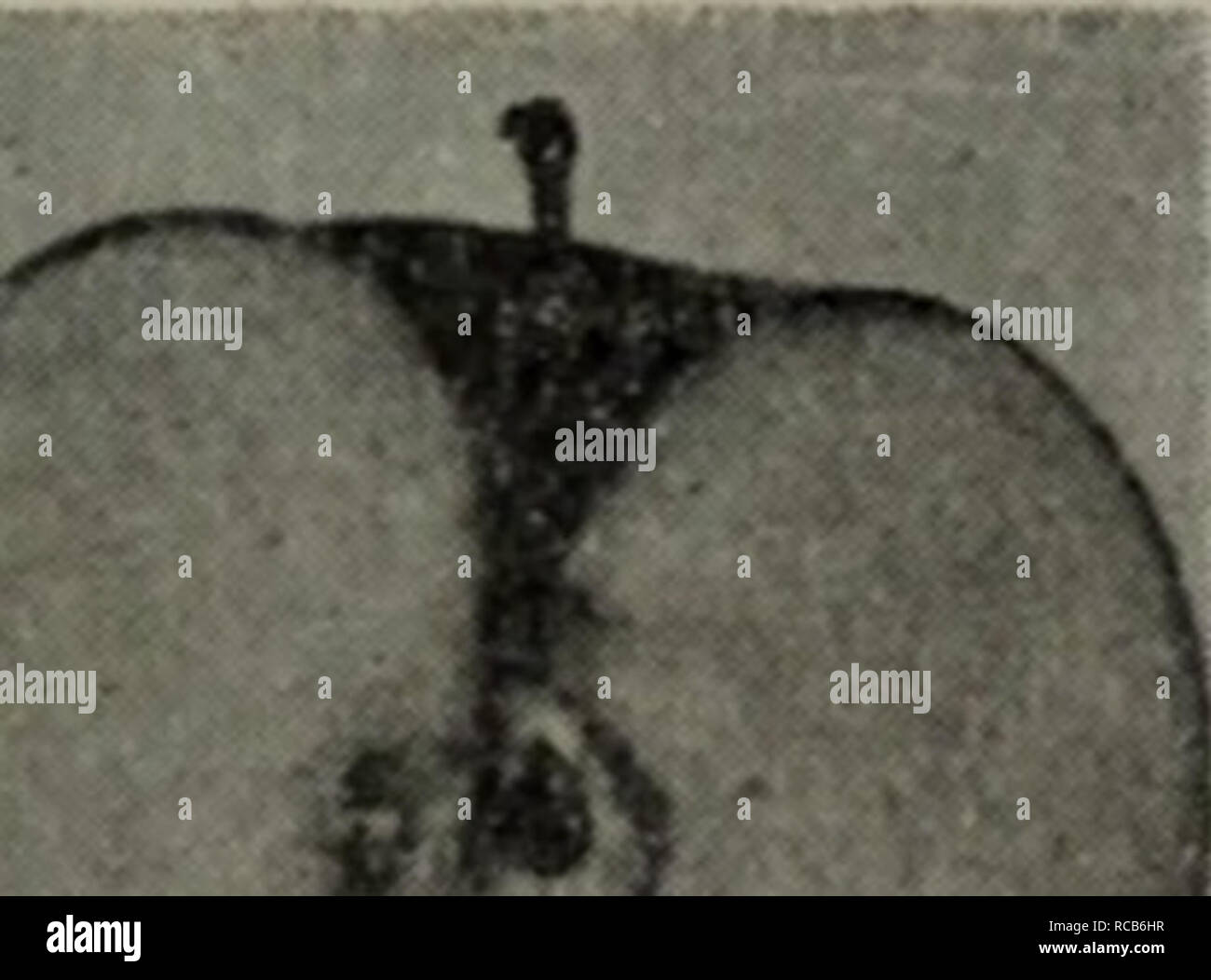 Nong Ping Stock Photos Nong Ping Stock Images Alamy - 