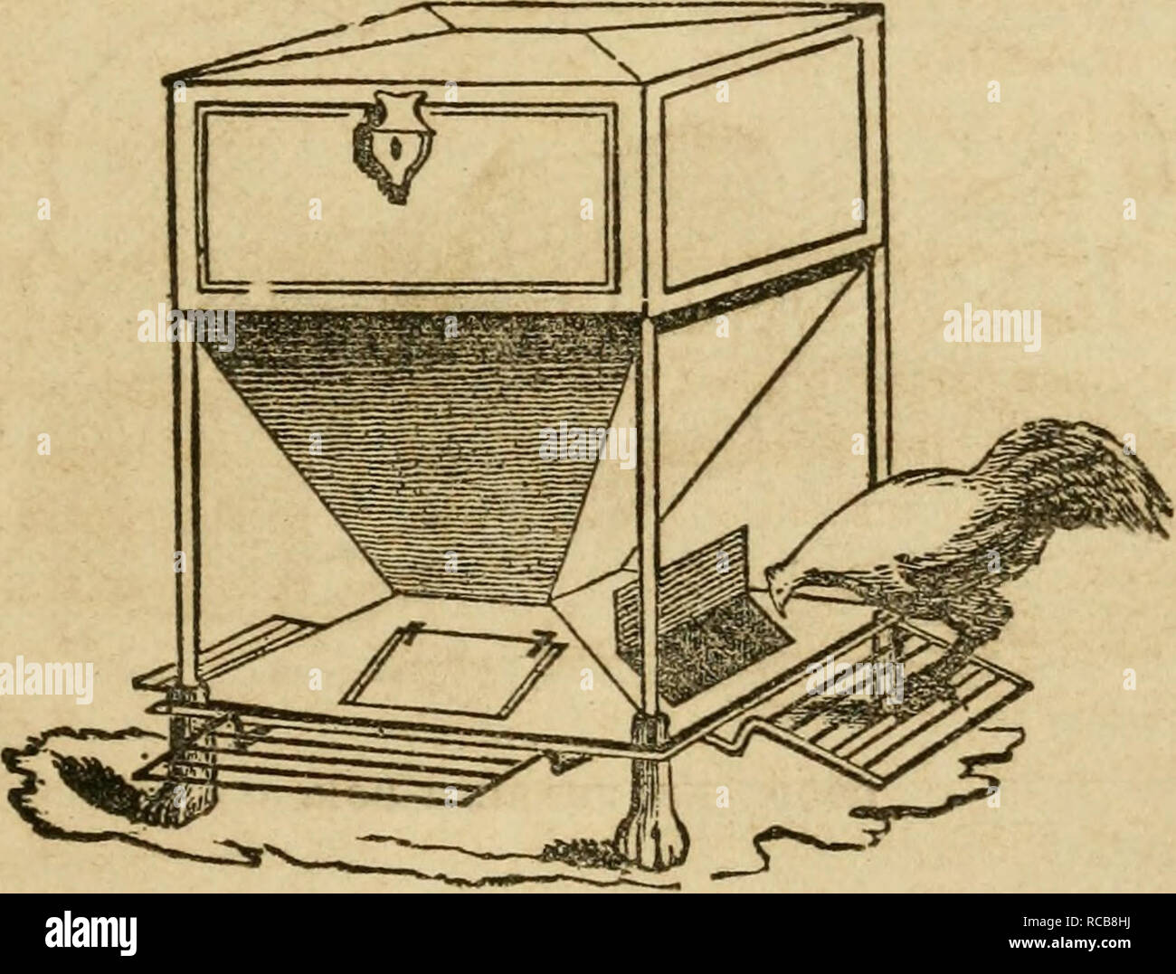 Poultry house cleaned hi-res stock photography and images - Alamy