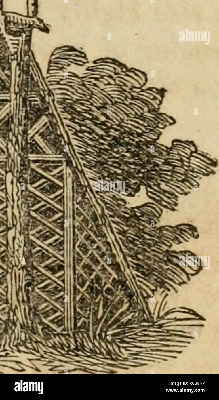 Poultry house cleaned hi-res stock photography and images - Alamy