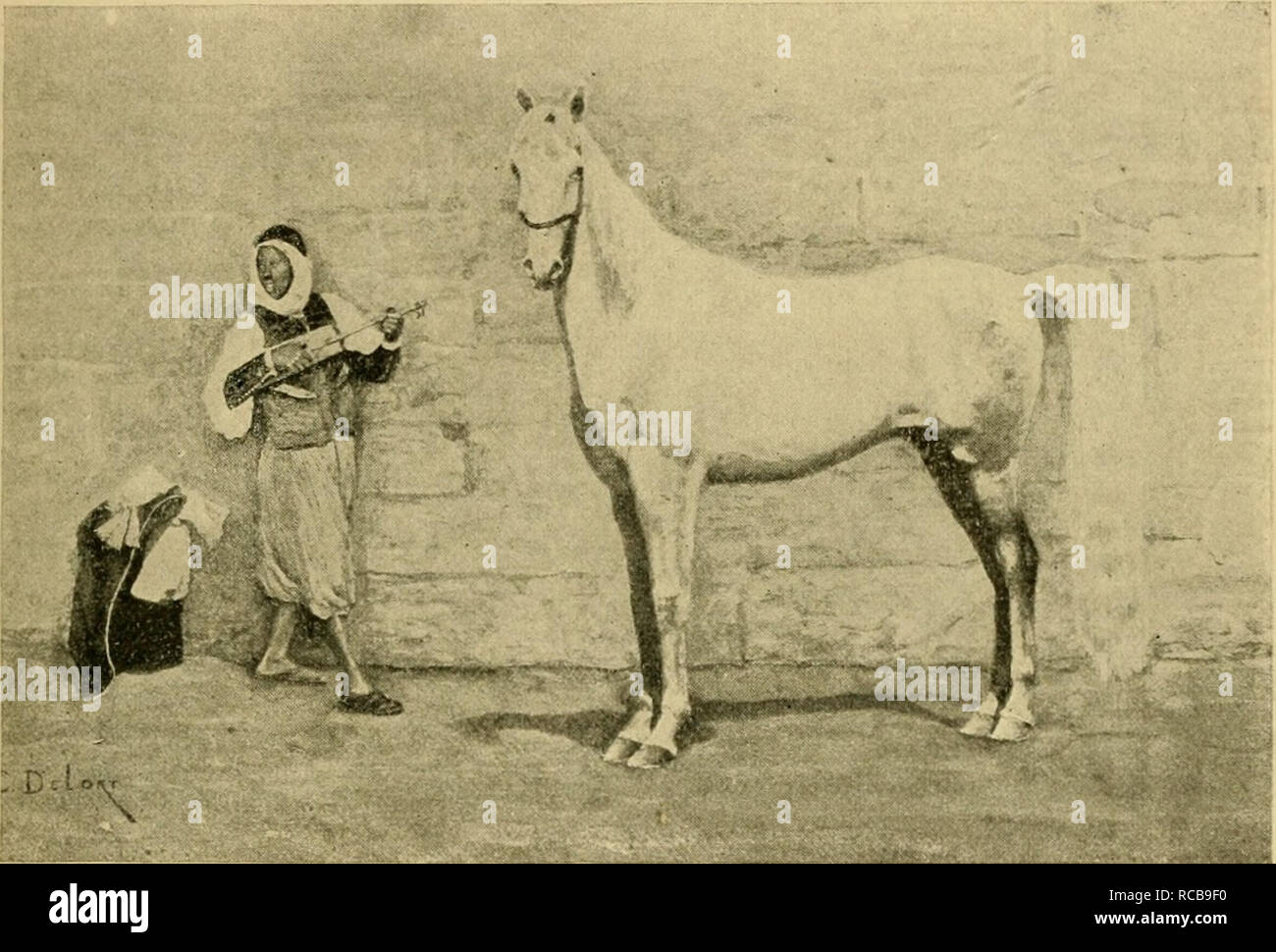 Domesticated animals : their relation to man and to his