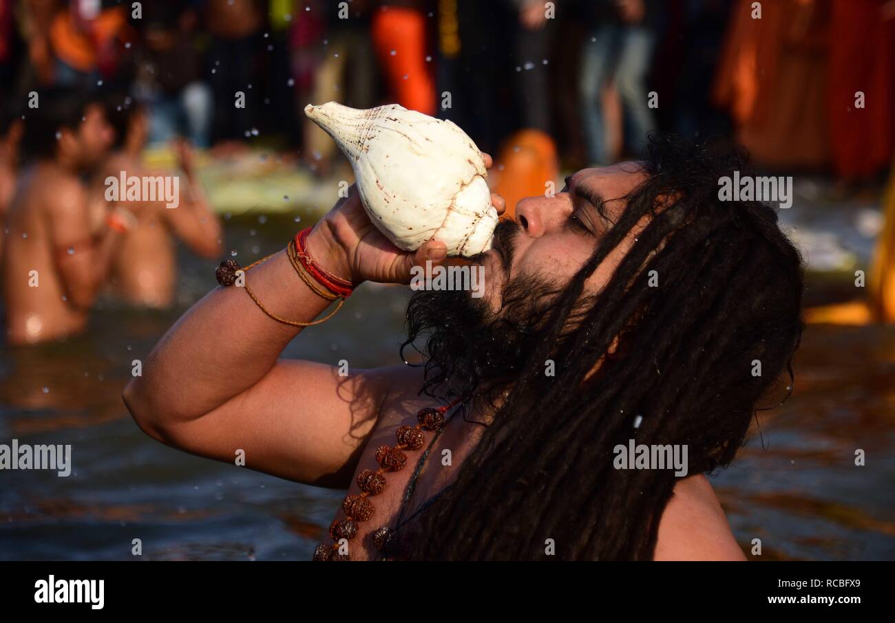 Allahabad, Uttar Pradesh, India. 15th Jan, 2019. Allahabad: A Naga Sadhu  blowing conchshell during take holy