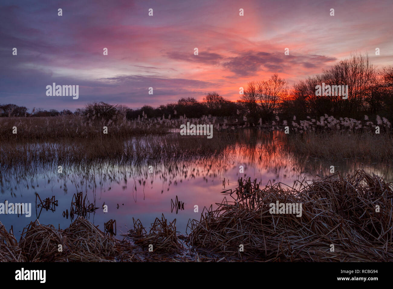 Lincolnshire Wildlife Trust Nature Reserve, Barton-upon-Humber, North Lincolnshire. 15th Jan 2019. UK Weather: Shortly before sunrise at a Lincolnshire Wildlife Trust Nature Reserve. Barton-upon-Humber, North Lincolnshire, UK. 15th January 2019. Credit: LEE BEEL/Alamy Live News Stock Photo