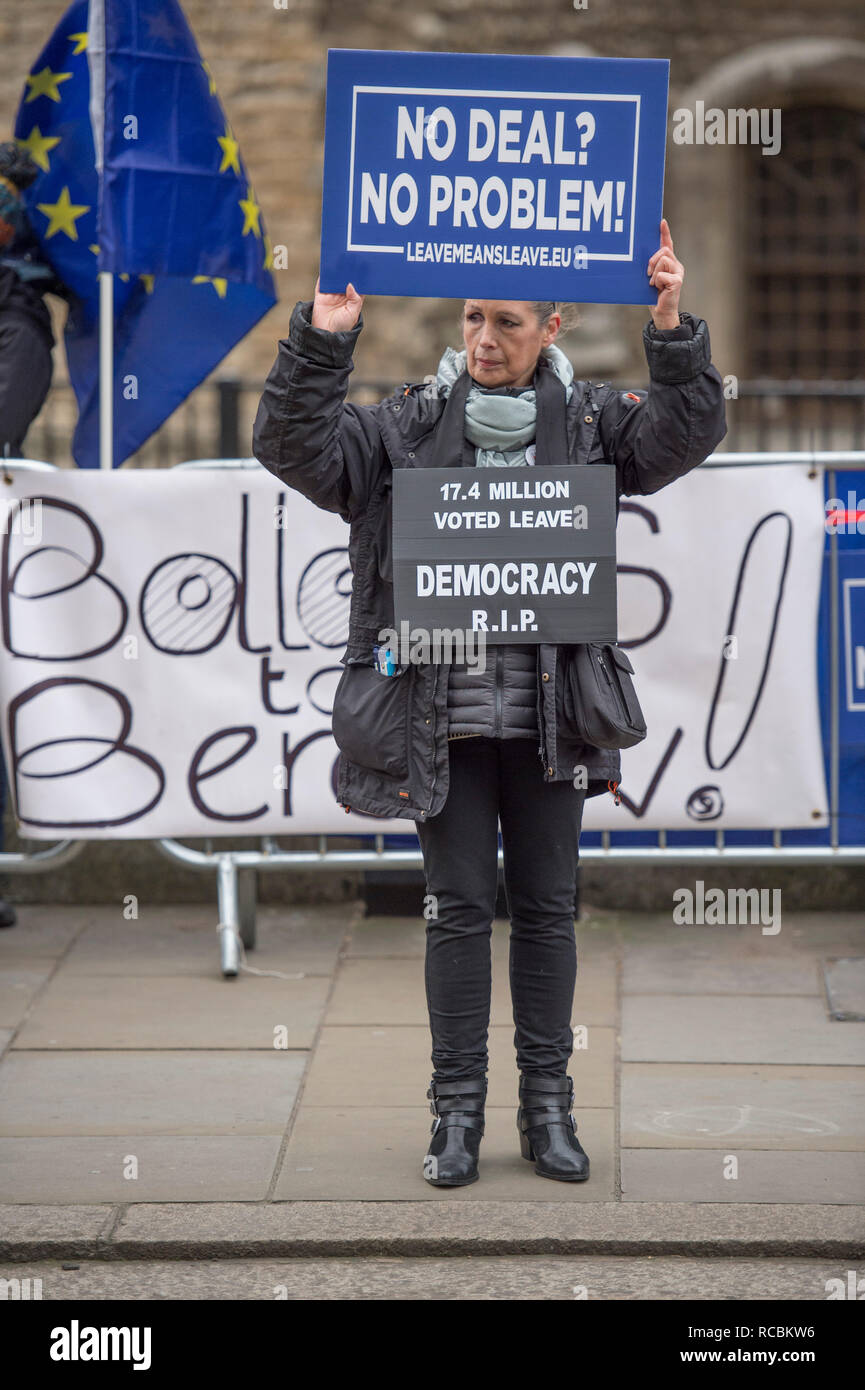 Westminster, London, UK. 15 January, 2019. Demonstrators outside the Houses of Parliament on the day the “meaningful vote” is voted upon for approval or rejection of Theresa May’s Brexit deal. Credit: Malcolm Park/Alamy Live News. Stock Photo