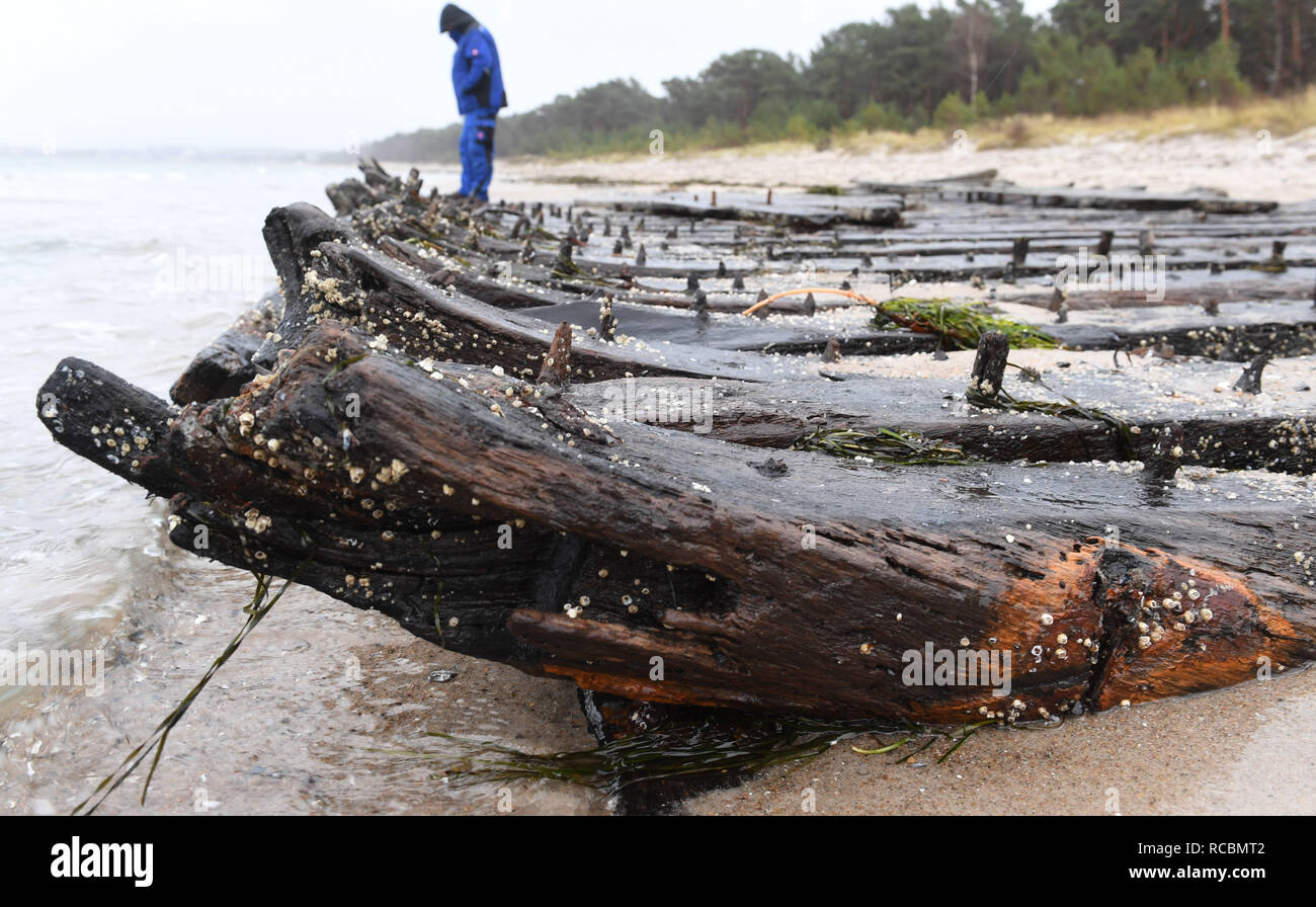 Glowe, Germany. 15th Jan, 2019. The storm of the past few days has exposed an old shipwreck on the coast of the island of Rügen. During the two storms in January, the beach in front of Glowe lost up to one meter of its height. According to experts, it is supposed to be a merchant ship from the 18th century due to its design. Last year, the fuselage had already been partially flushed free once. At that time the monument protection authority had decided against a salvage. Hikers pilgrim now to the discovery site to marvel at the wreck. Credit: Stefan Sauer/dpa-Zent/dpa/Alamy Live News Stock Photo