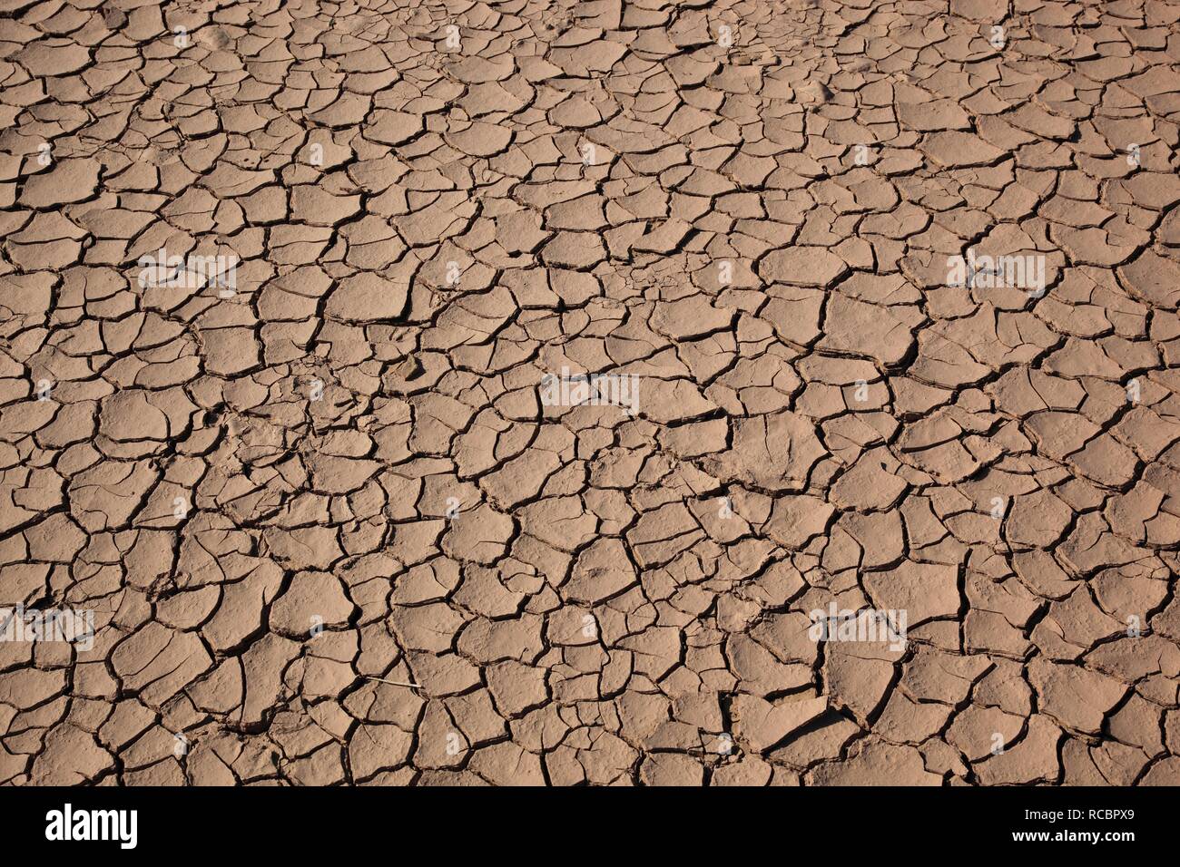 Driedout clay surface Stock Photo Alamy