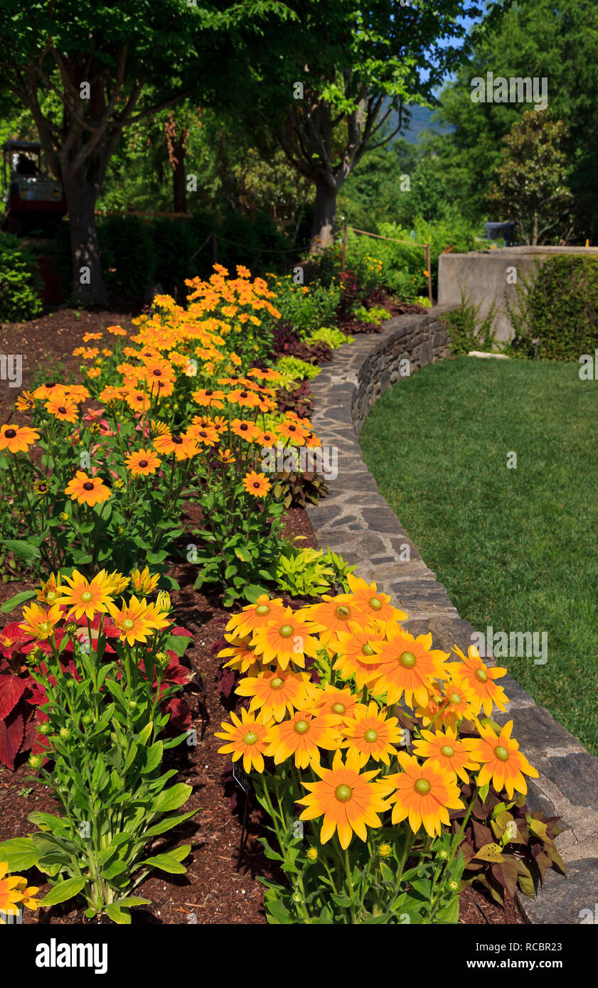 Beautiful flower bed in center hi-res stock photography and images - Alamy