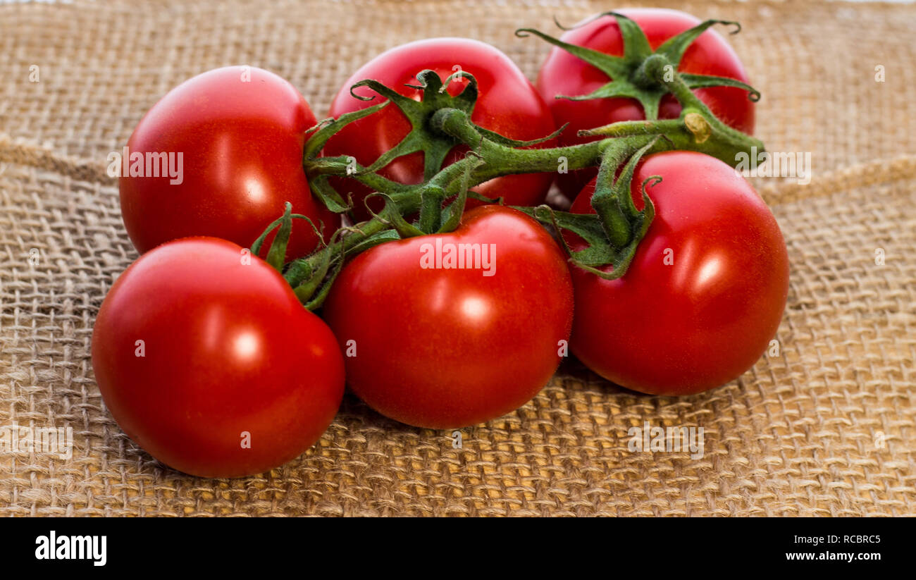 Delicious tomatoes add a pop of color to any media! Stock Photo