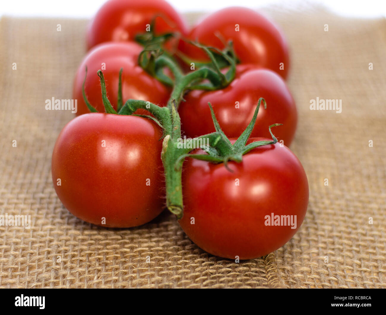 Delicious red tomatoes add a blast of color to any page! Stock Photo