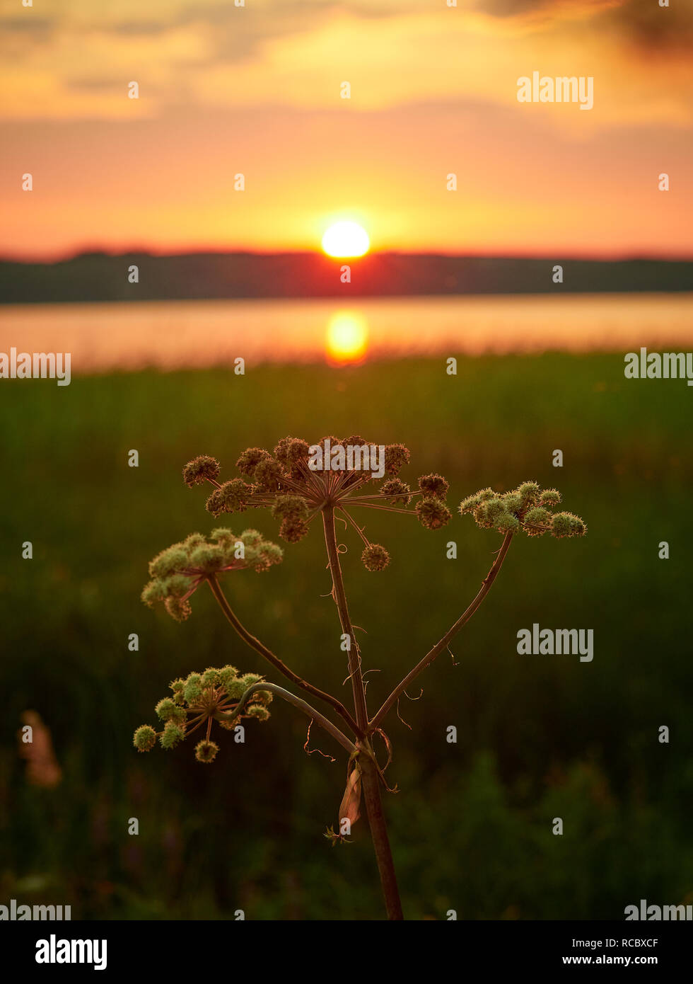 Sunset sky with the sun and colorful clouds. Beautiful summer night lake scene in Ruovesi, Finland. Selective focus with shallow depth of field. Verti Stock Photo