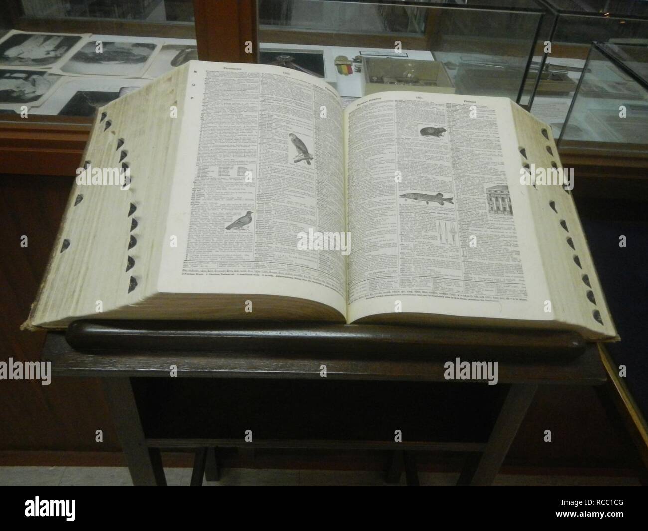 American Historical Collection Rizal Library Ateneo de Manila 07 Stock