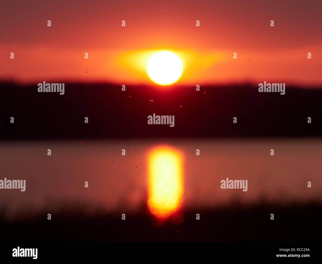 Red sunset sky with the sun and flying insects on foreground. Beautiful summer night scene in Ruovesi, Finland. Mostly blurred background image. Stock Photo