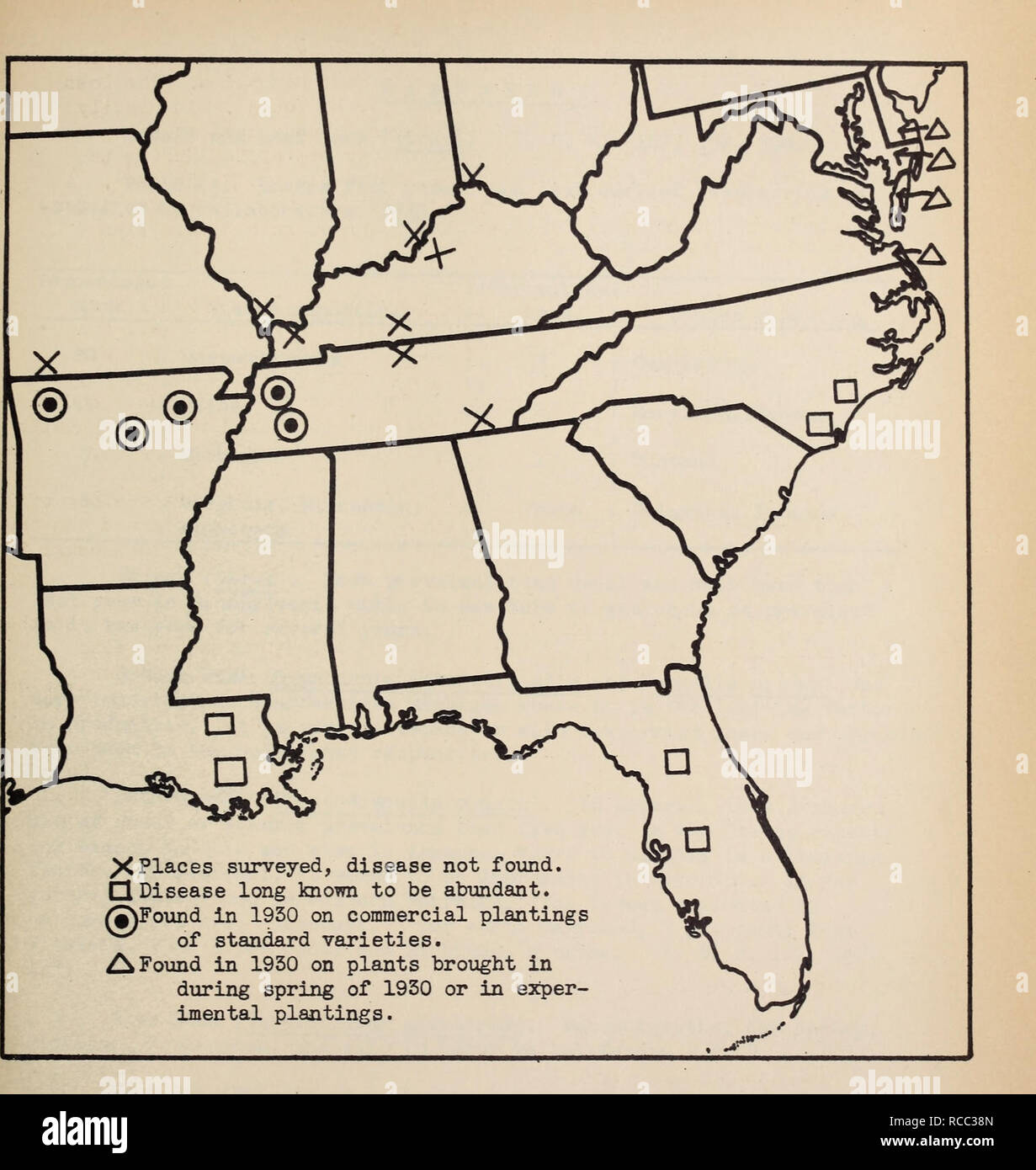 . Diseases of plants in the United States in 1930. Plant diseases United States. Figure 20, Known distribution of strawberry dwarf caused by Aphelenchus fragariae, 1950. Please note that these images are extracted from scanned page images that may have been digitally enhanced for readability - coloration and appearance of these illustrations may not perfectly resemble the original work.. Barrus, M. F; Boyd, O. C; Wood, Jessie I; United States. Division of Mycology and Disease Survey. [Washington, D. C. ] : Division of Mycology and Disease Survey, Bureau of Plant Industry, United States Departm Stock Photo
