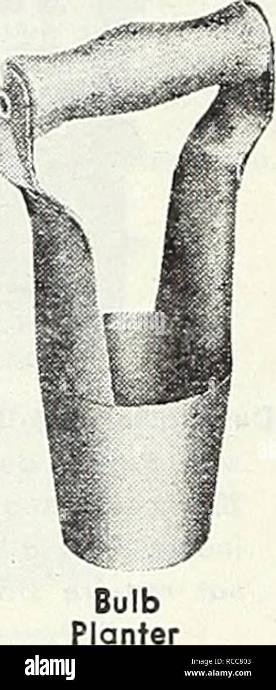 Dreer S 1948 Wholesale Catalog For Florists Truck Growers Market