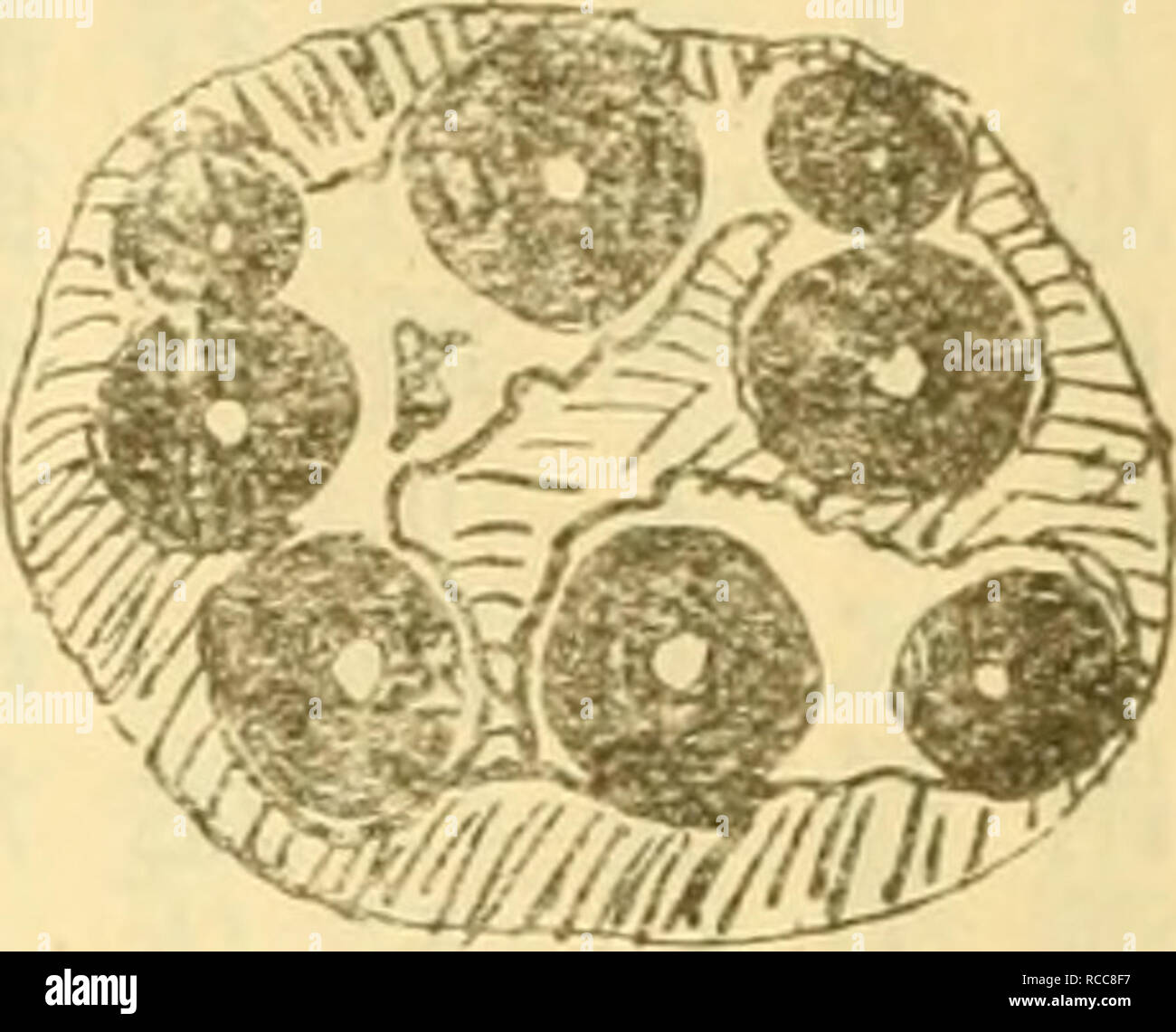 Page 8 Jto High Resolution Stock Photography And Images Alamy