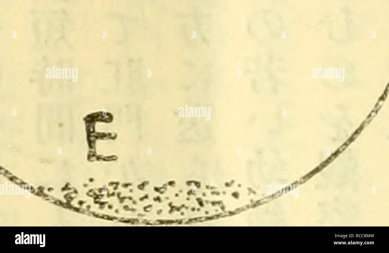 Page 4 j High Resolution Stock Photography And Images Alamy