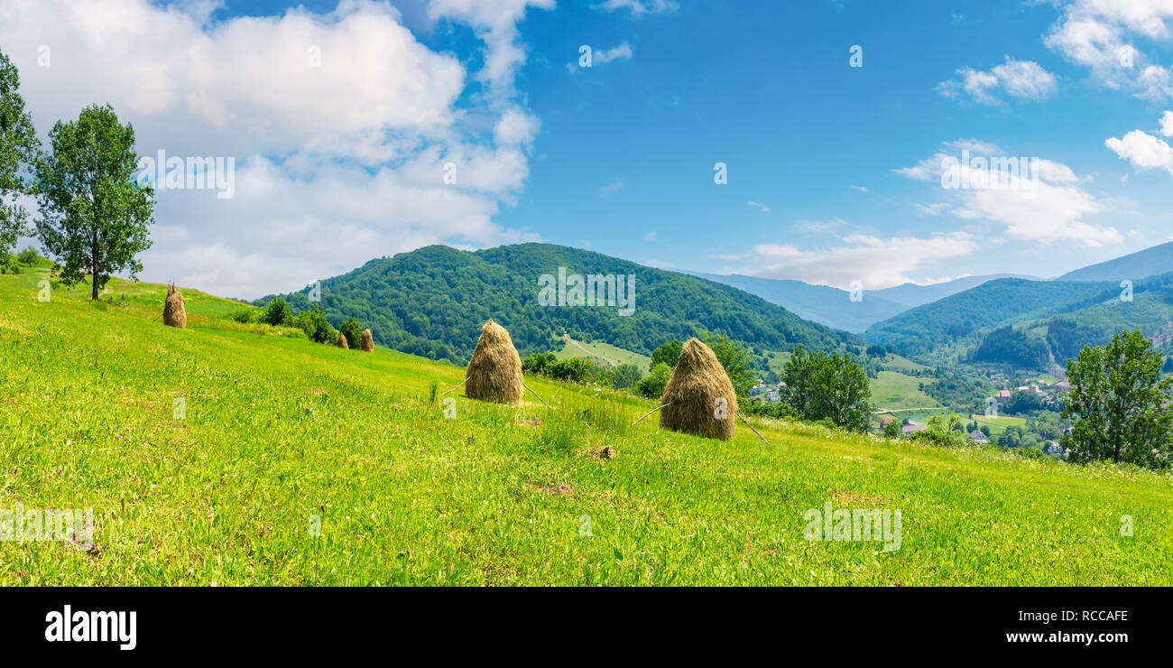 haystacks on a grassy hill in summer. beautiful summer landscape in mountains. carpathian countryside at noon. wonderful weather with some fluffy clou Stock Photo