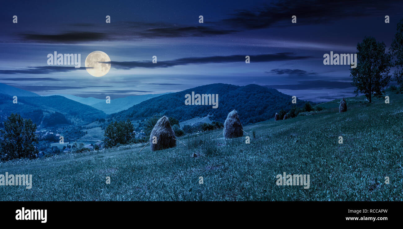 haystacks on a grassy hill in summer at night in full moon light. beautiful summer landscape in mountains. carpathian countryside. wonderful weather.  Stock Photo