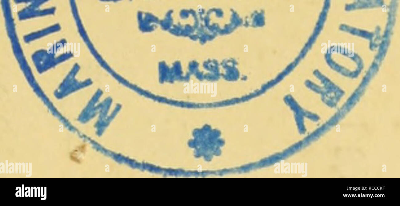 . Dobutsugaku zasshi. Zoology; Zoology. THE ZOOLOGICAL MAGAZINE PUBLISHED BY THE TOKYO