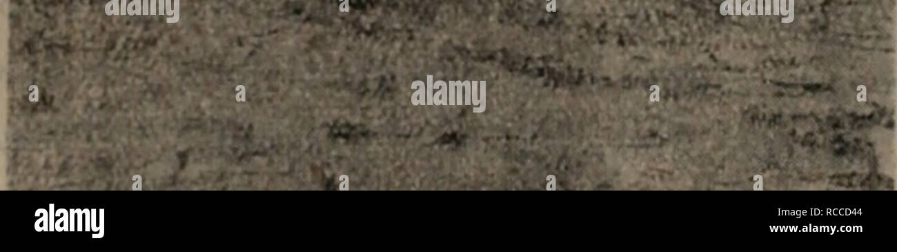 Mifi High Resolution Stock Photography And Images Alamy