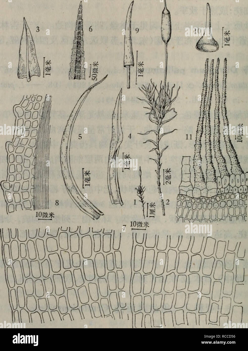 igloo 冰 桶 好 市 多