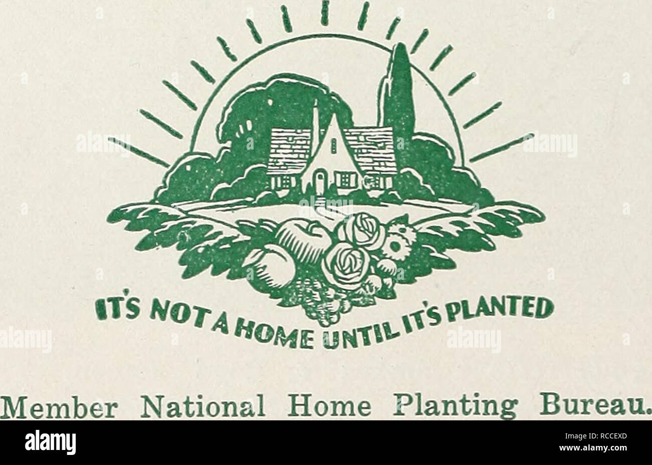 . The dixie planter : fall, 1931. Nurseries (Horticulture) Catalogs; Nursery stock Catalogs; Shrubs Catalogs; Trees Catalogs; Fruit Catalogs. 18 Early Spring Flowering Shrubs, (continued) Forsythia viridissima. Golden Bell. Bright golden-colored flowers in profusion. Free grower. 2 to 3 ft 50 3 to 4 ft 60 Forsythia fortunei. Fortune's Goldenbell. Latest to bloom. 2 to 3 ft 50 3 to 4 ft 60 4 to 5 ft 75 Cydonia japonica. Fire Bush. Japanese Quince. Abundant red flowers. IV2 to 2 ft 60 Amygdalus nana pumila. (Prunus japonica). Flowering Almond. Numerous small, double pink flowers all along the st Stock Photo