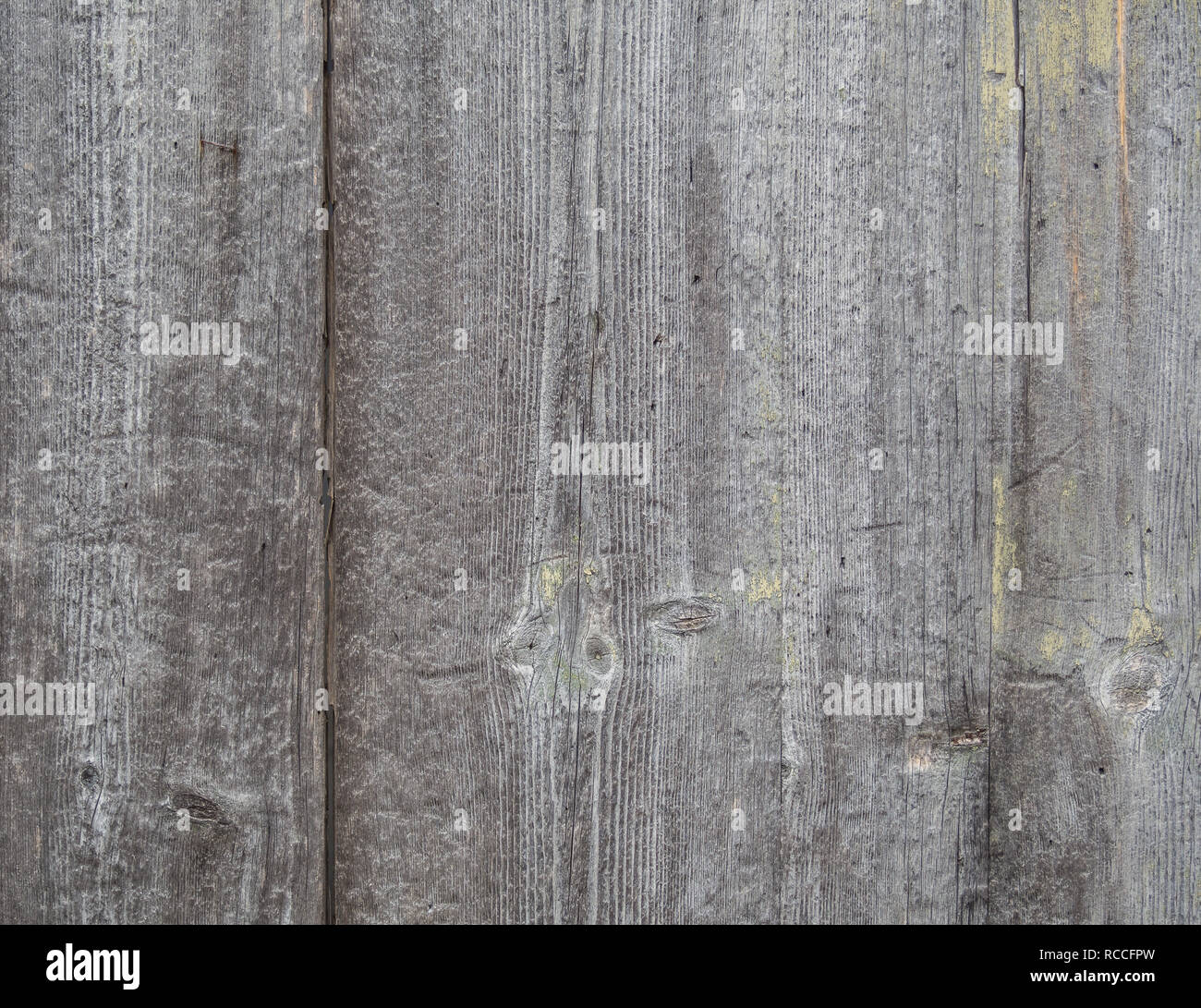 grey vintage wood texture Stock Photo