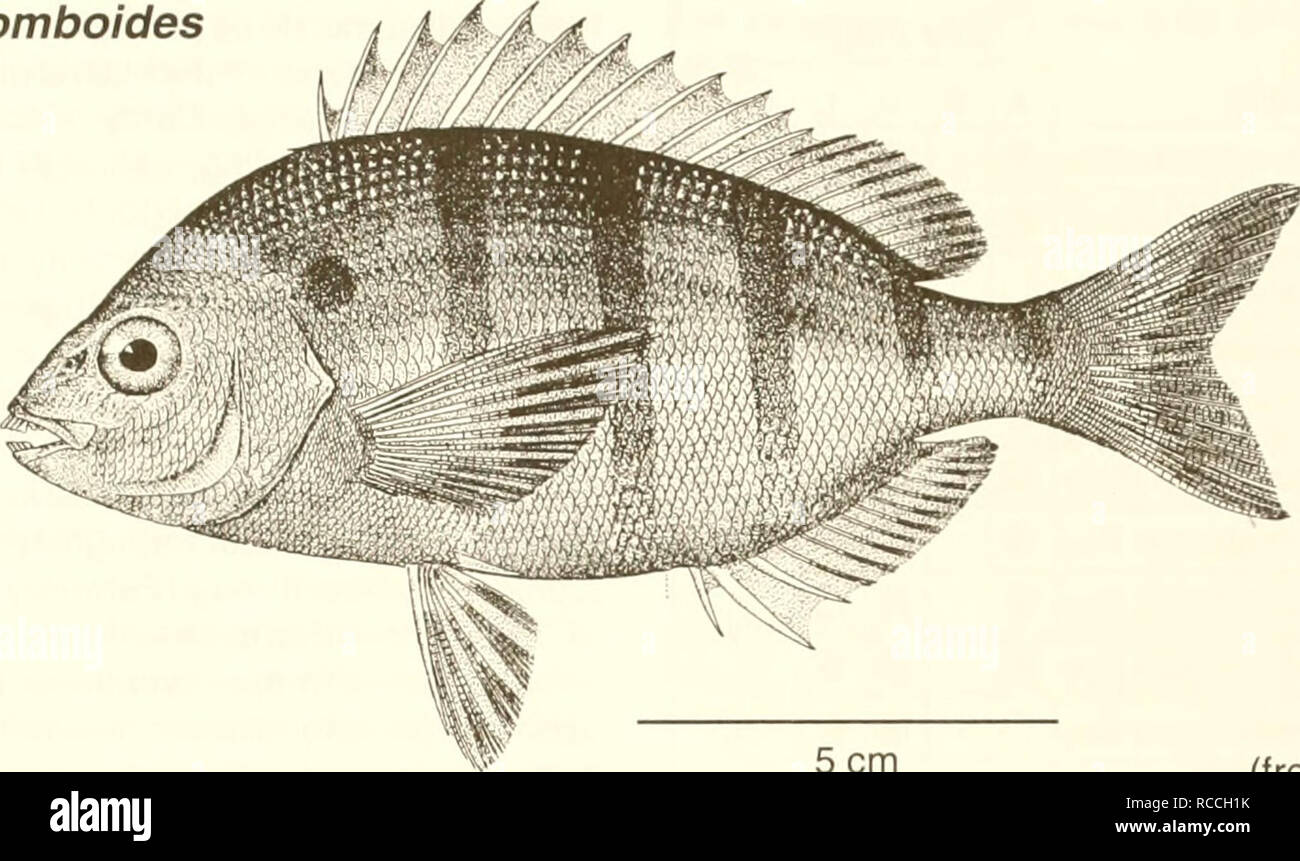 . Distribution and abundance of fishes and invertebrates in Gulf of