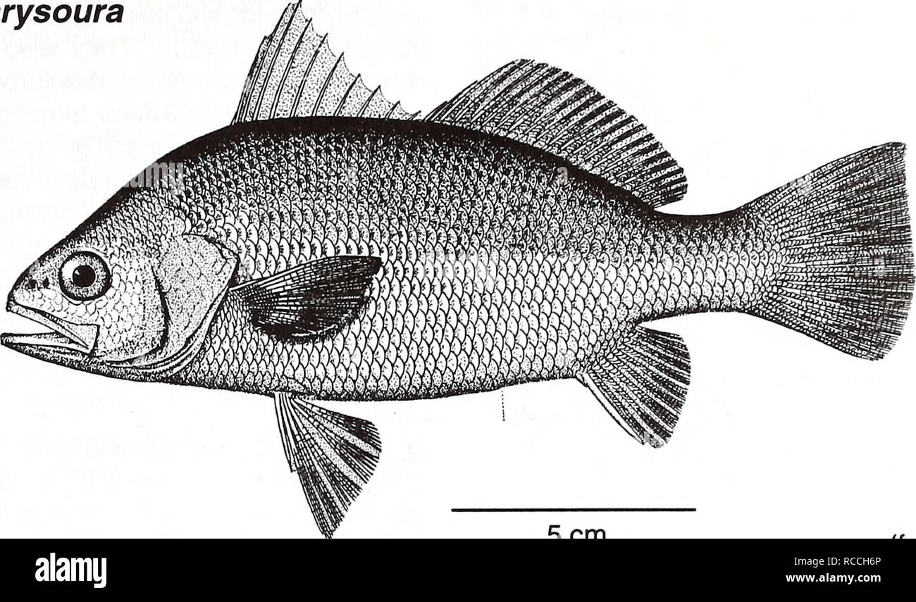 . Distribution and abundance of fishes and invertebrates in Gulf of